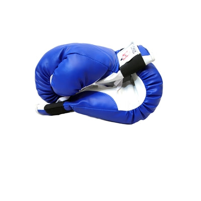 Mikado Economy Karate Gloves